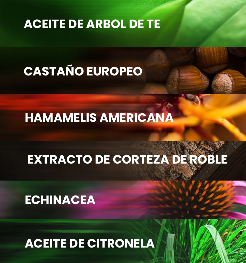 Sus potentes ingredientes y su fórmula totalmente natural