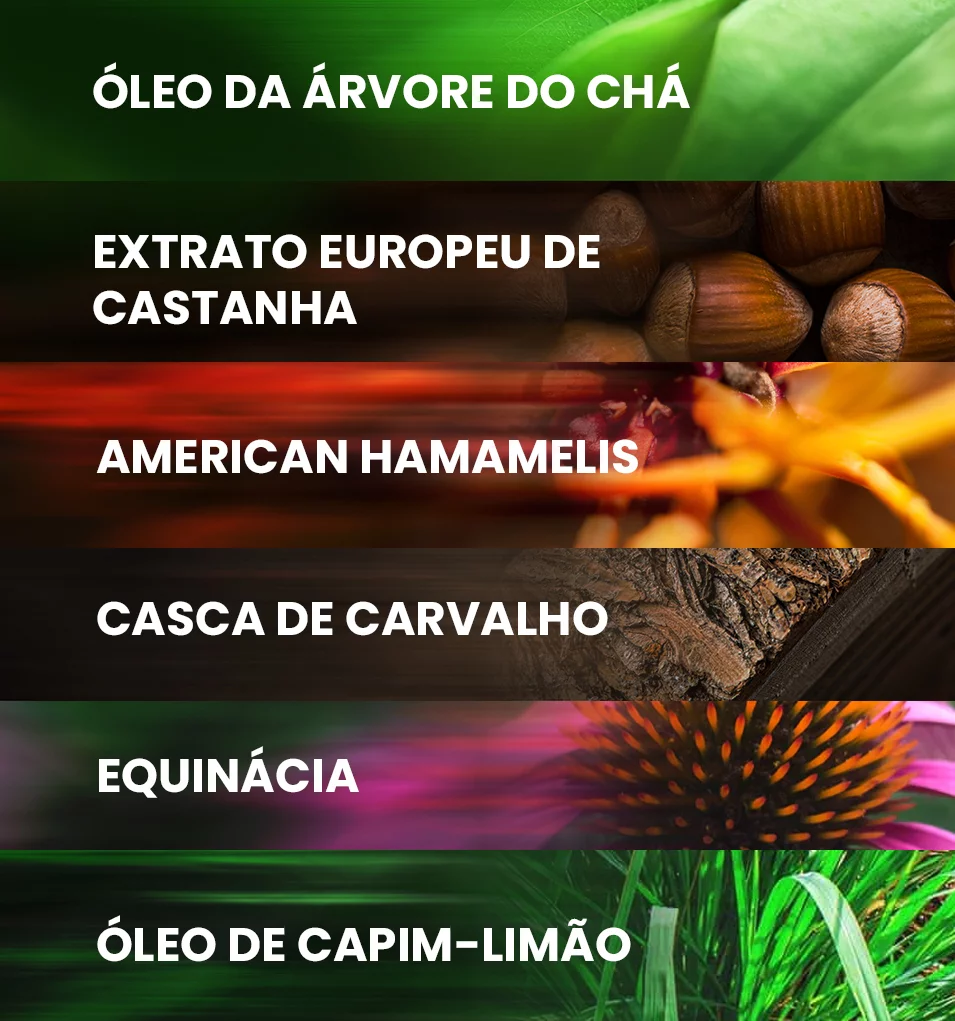 Os ingredientes poderosos e a fórmula totalmente natural