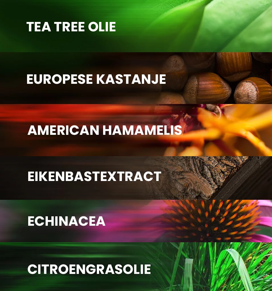 De krachtige ingrediënten en 100% natuurlijke formule